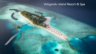 Видео об отеле   Veligandu Island Resort & Spa, 2