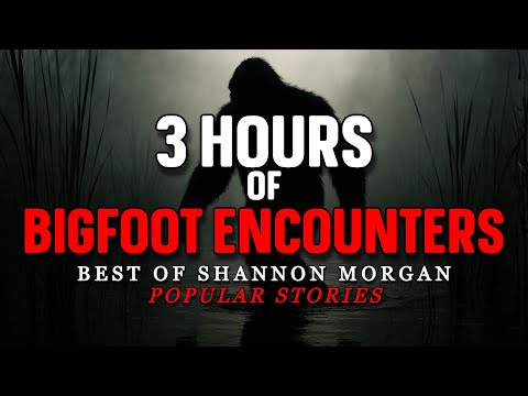 3 HOURS OF BIGFOOT : Best of Shannon Morgan - Popular Stories