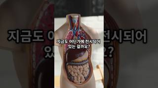 Download lagu 장 웨이제 실종 사건, 그녀는 정말 박제가 된걸까?  #미스터리#mystery #공포 #실종 #중국 mp3