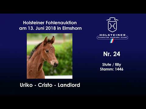 Holsteiner Fohlenauktion im Juni | Nr. 24 v. Uriko - Cristo