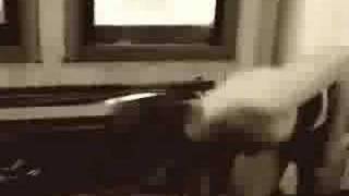 My Wicked Sensitive Crew