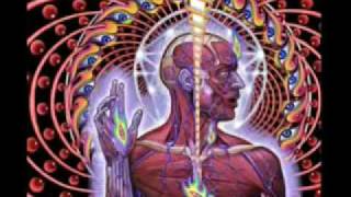 postcard of a painting - maximo park w/ my vox