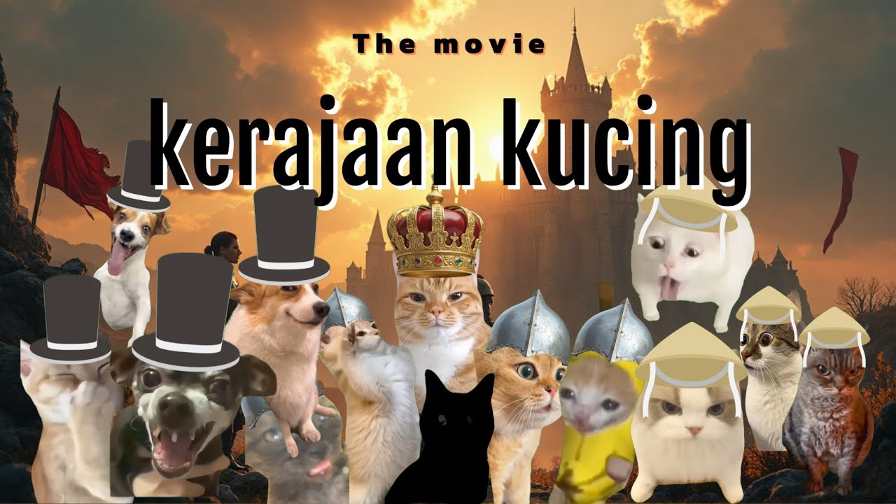 🎬 Meme Kucing: The Movie | Revolusi kerajaan kucing #meme #memekucing #kucing #kucinglucu #catlovers