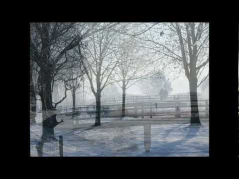 Nescio - The Nits 1983 / Winter Portrait 2012 /