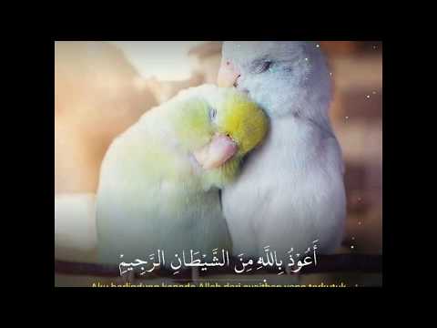 Surah An-Nur ayat 26 Maqam Jiharkah Ajam - Perkara JODOH