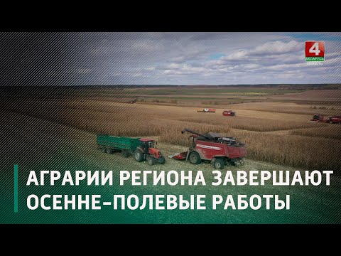 Аграрии региона завершают осенне полевые работы видео