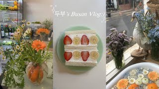 【Busan Vlog】 家族と釜山観光そしてカフェ巡り🌿🩵| 가족과 부산관광 그리고 카페 다니기🌿🩵