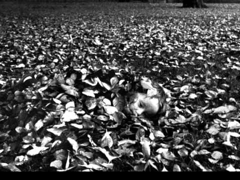 Experimental Products - Another Green World