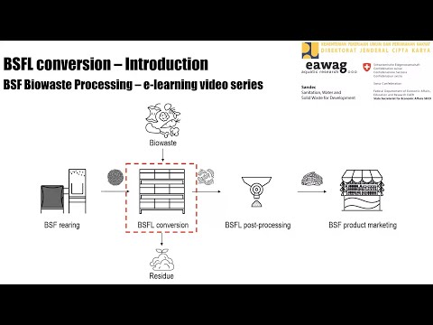 BSFL Conversion - Introduction - BSF Biowaste Processing e-learning video series