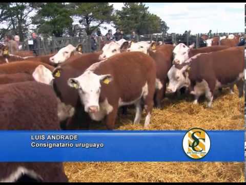 LUIS ANDRADE - Cabaña: Los Ceibos e invitados - Gardey - Tandil - 18/09/2013