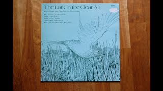 The Lark in the Clear Air - Irish Music