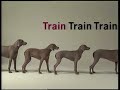 Sesame Street Wegman S Dogs T For Train