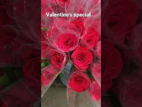 #valentine day special#red roses|chocolate🍫🍫|#