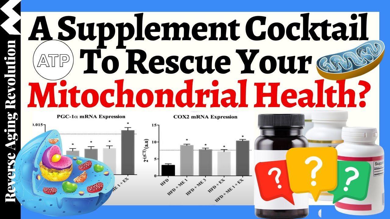 Will THIS Supplement Cocktail RESCUE YOUR Mitochondrial Health?