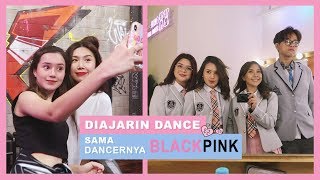 Download lagu Beby Vlog #71 - DIAJARIN DANCE SAMA DANCERNYA BLACKPINK!😱 mp3