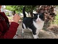 Tuxie The Cat Was So Happy To See Us And Came Running And Meowing To Us