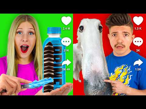 Who Can Gain 1,000,000 Followers in 24 Hours!