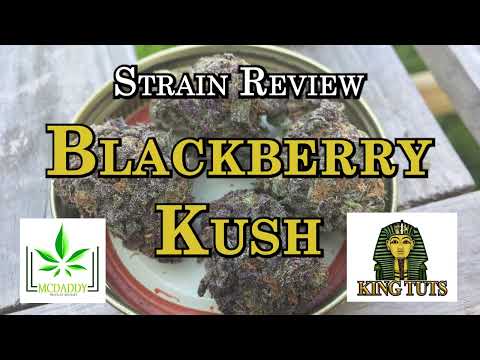 Strain Review - Blackberry Kush - King Tuts Cannabis