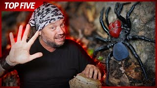 Miniatura do vídeo