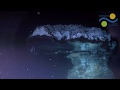 Otherworldly Mirror Pools New Lifeforms And Mesmerizing Landscapes Discovered On Ocean Floor