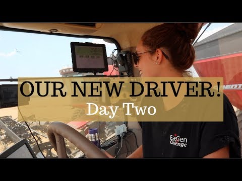 Teaching Our Daughter How to Run The Grain Cart (WHEAT HARVEST 2019): Vlog 154