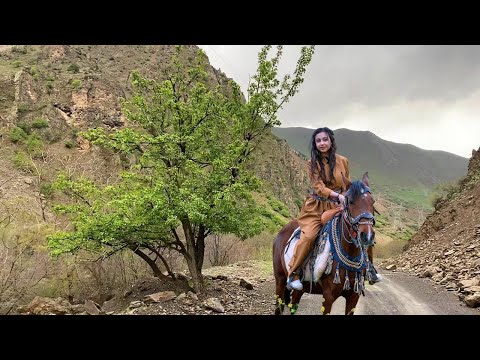 Razaq Harki - Jaro Dilo 💐 [ kürtçe uzun hava ] dengbeji 2023