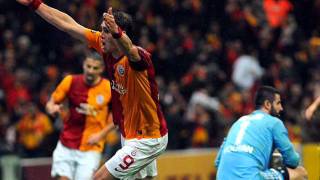 mini mini bir kuş donmuştu Arenaya konmuştu