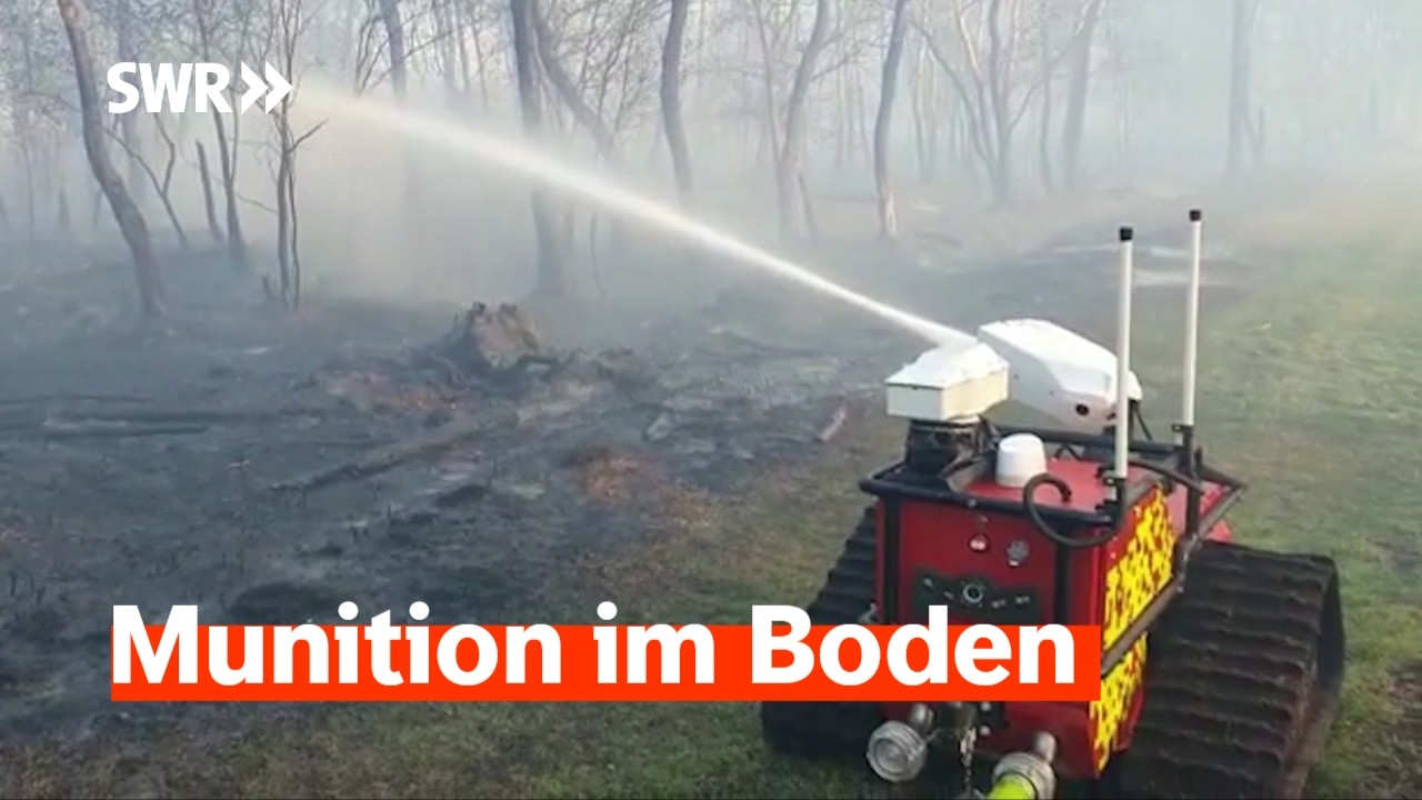 Waldbrand am Rotenfels: Wenn Löschen lebensgefährlich wird | Zur Sache! Rheinland-Pfalz