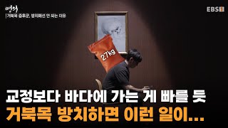 명의 경고🚨 거북목 언제까지 방치하실 건가요?ㅣ현대인의 고질병 거북목🐢ㅣ#명의