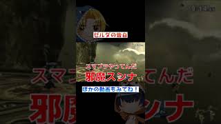 TikTokで100万回再生されていないスマブラ雑談配信【ゼルダの告白】 #Shorts