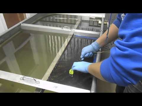 Glock17-reaperZ Green base