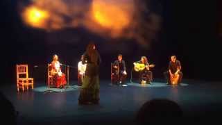 Espectáculo flamenco profesional teatro La Paz: Taranto