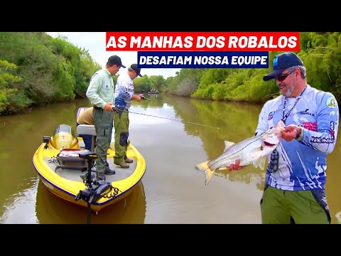 DEPOIS DE UMA SEQUÊNCIA DE PEQUENOS ROBALOS, SAIU UM PEVÃO NO RIO MAMPITUBA