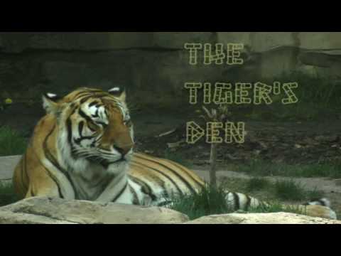 May 16th Power Trading Hour with David White on TFNN   2016