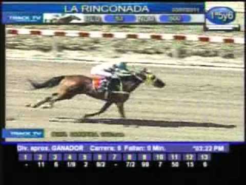 Resumen Domingo, 03 de Julio de 2011 - La Rinconada