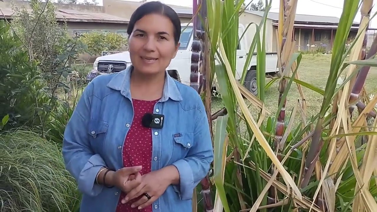 2. Collaboratori della vostra gioia