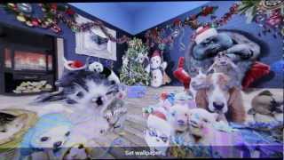 Christmas Wallpaper with funny animals for android.