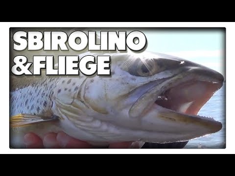 So fangt ihr mit dem Sbirolino Meerforellen