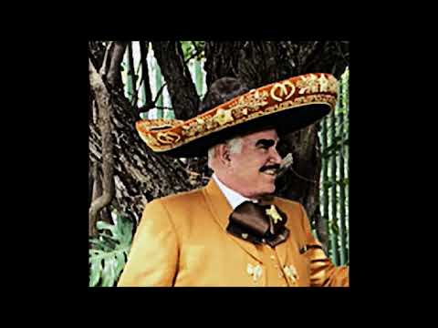 Los Tiros de Mi Canana 🎶 Vicente Fernández