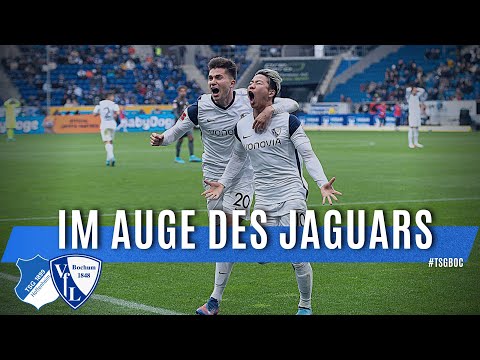 IN THE EYE OF THE JAGUAR 👁 - TSG Hoffenheim vs. VfL Bochum 1848 - Fan For Fans