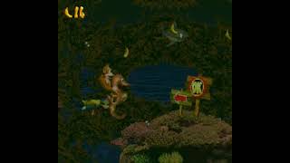 DKC4 - Dangerous Depth playthrough