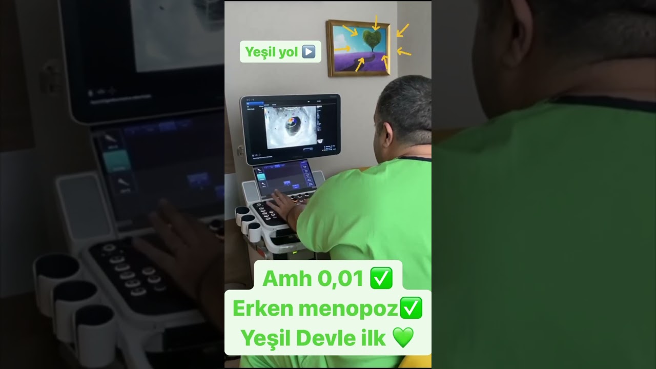 Biz bu yola Yeşil Yol diyoruz :)