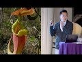 Technology Inspired By Nature  AMNH SciCafe