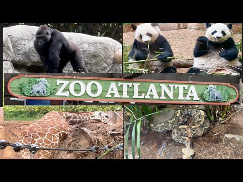 image-Can you bring dogs to the Atlanta Zoo?