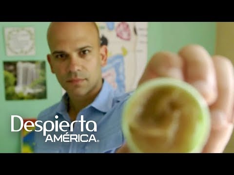 Rattlesnake powder for curing skin infections | Dr. Juan