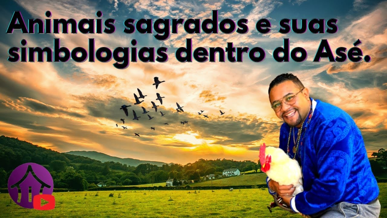 Sacrifícios de Animais,qual a serventia?