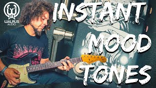 Video thumbnail for When Pedals Help You Write Music | Walrus Julianna Stereo Chorus/Vibrato by Rabea Massaad