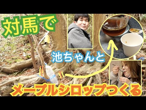国際社会学科 【あまぁ〜い自家製🍁】カエデの樹液からメープルシロップを作る！大自然・対馬の新たな冬あそび♡