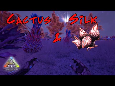 BEST Cactus & Silk  Farming Genesis 2 Resource Guide!