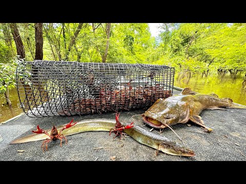 Crawfish, Eels and Catfish Catch & Cook (The Swamps most Prized Delicacies)
